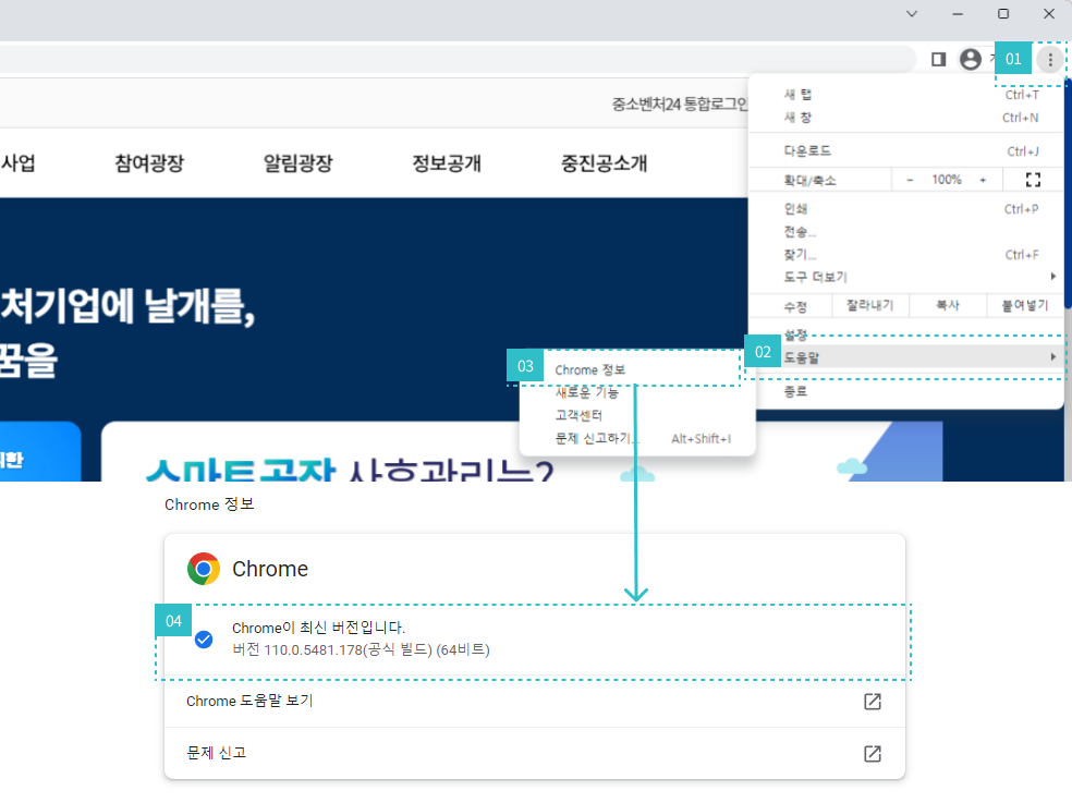 브라우저 업데이트 확인